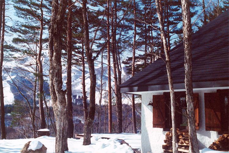 Earl Grey Hotel Hakuba Ngoại thất bức ảnh